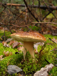 Similar image 5463290