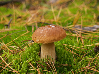 Similar image 5463291