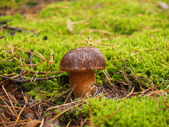 Similar image 5463294