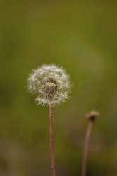 Similar image 5463417