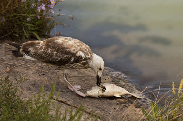 Similar image 5463418