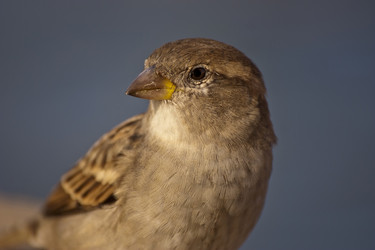 Similar image 5463420