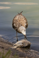 Similar image 5463421