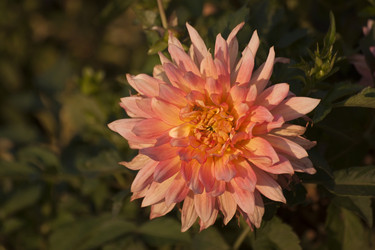 Similar image 5463422