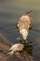 Similar image 5463423