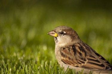 Similar image 5463424