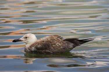 Similar image 5463426