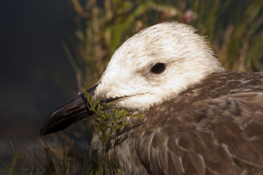 Similar image 5463427