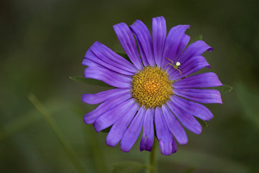 Similar image 5463428