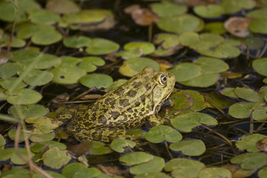 Similar image 5463429