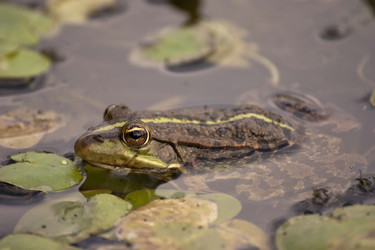 Similar image 5463431