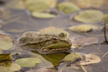 Similar image 5463432