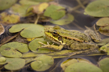 Similar image 5463433