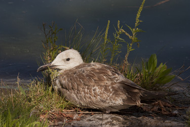 Similar image 5463434