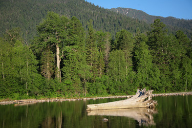 Similar image 5463456