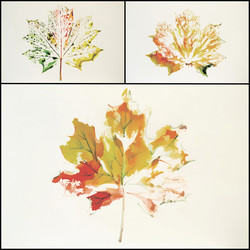 Similar image 5463468