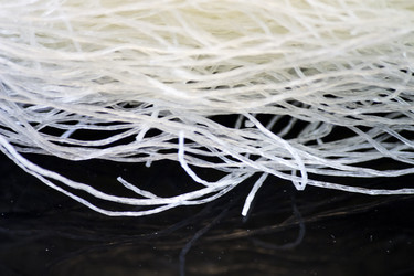 Similar image 5463554