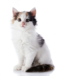 Similar image 5463571