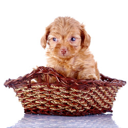 Similar image 5463573