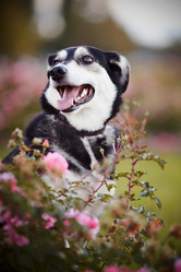 Similar image 5463579