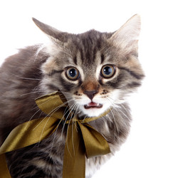 Similar image 5463592