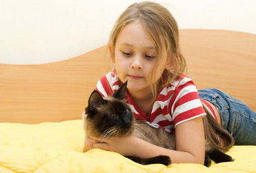 Similar image 5463633