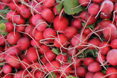 Similar image 5463681