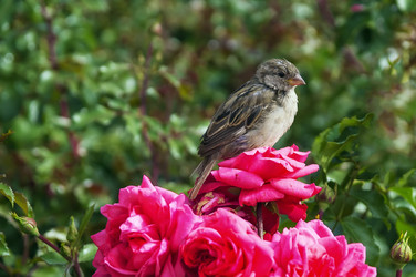 Similar image 5463822