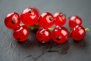 Similar image 5463880