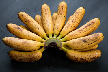 Similar image 5463884