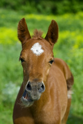 Similar image 5463955