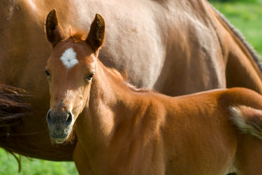 Similar image 5463960