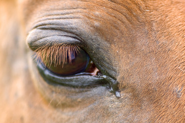 Similar image 5463962