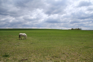 Similar image 5463965
