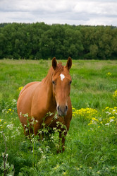 Similar image 5463967