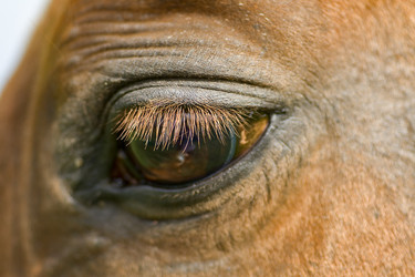 Similar image 5463969