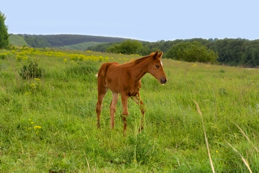 Similar image 5463970