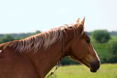 Similar image 5463972