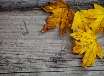 Similar image 5463997