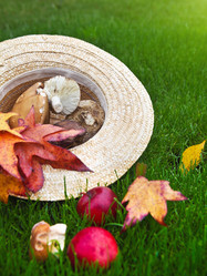 Similar image 5464005