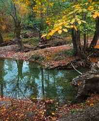 Similar image 5464010