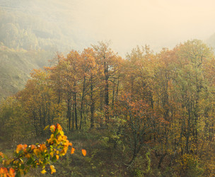 Similar image 5464015