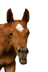 Similar image 5464019