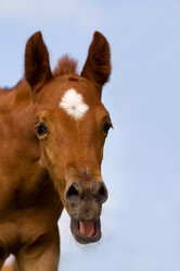 Similar image 5464022