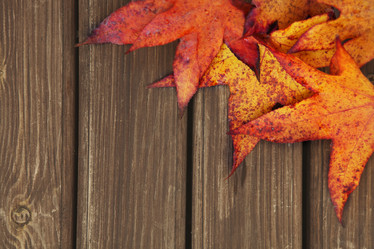 Similar image 5464028