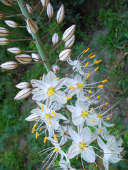 Similar image 5464233