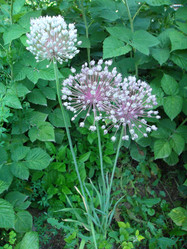 Similar image 5464234