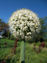 Similar image 5464235