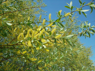 Similar image 5464256