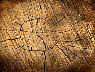 Similar image 5464277